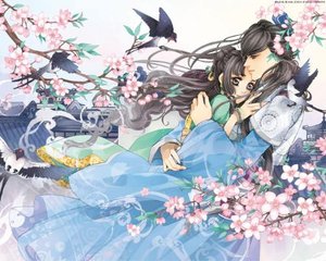 葫芦娃里不卖药千万视频